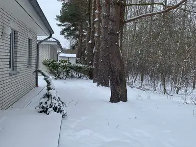 Ferienhaus für 6 Personen (100 m²) in Karlshagen 4/10
