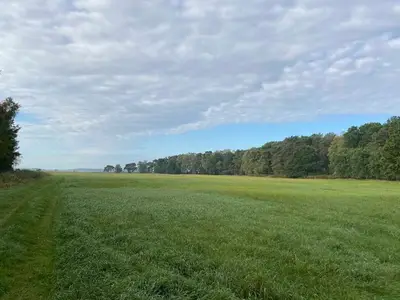 Ferienhaus für 6 Personen (100 m²) in Karlshagen 10/10