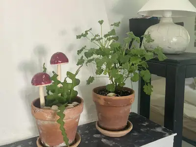 Indoor