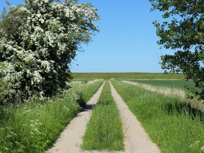 Wanderweg ab Haustür zum Eiderdeich