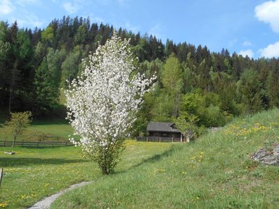 Ein Häuschen mitten im Grünen