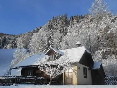 Ferienhaus für 4 Personen (80 m²) in Katsch an der Mur 2/10
