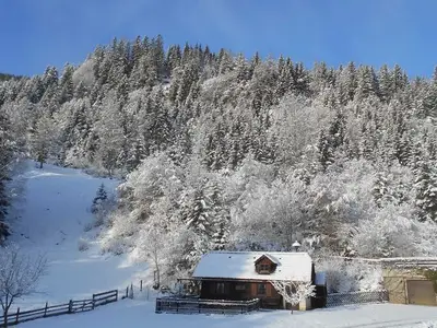 Ferienhaus für 4 Personen (80 m²) in Katsch an der Mur 3/10