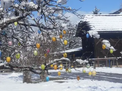 Ferienhaus für 4 Personen (80 m²) in Katsch an der Mur 9/10