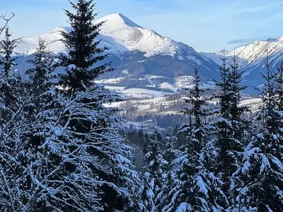 Ferienhaus für 4 Personen (120 m²) in Katsch an der Mur 2/10