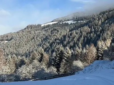 Ferienhaus für 4 Personen (120 m²) in Katsch an der Mur 3/10