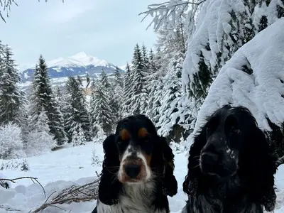 Ferienhaus für 4 Personen (120 m²) in Katsch an der Mur 5/10