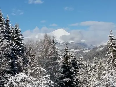 Ferienhaus für 4 Personen (120 m²) in Katsch an der Mur 7/10