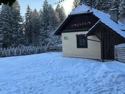 Ferienhaus für 4 Personen (120 m²) in Katsch an der Mur 10/10