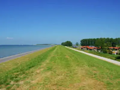 ViewSummer