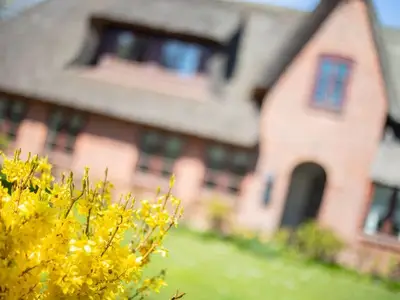 Ferienhaus für 4 Personen (110 m²) in Sylt-Ost 8/10