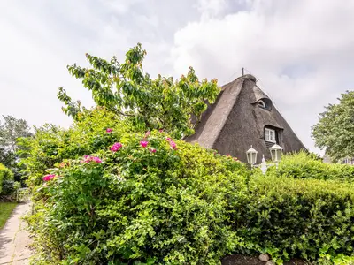 Gartenblick