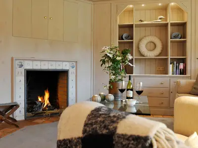 Kamin-/Ofen