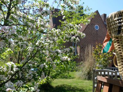 Ferienhaus für 9 Personen (100 m²) in Kellenhusen 1/10