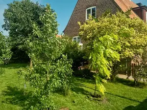Ferienhaus für 9 Personen (105 m²) in Kellenhusen
