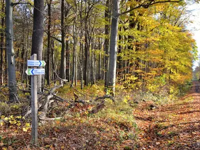 Ferienhaus für 5 Personen (100 m²) in Kellenhusen 8/10