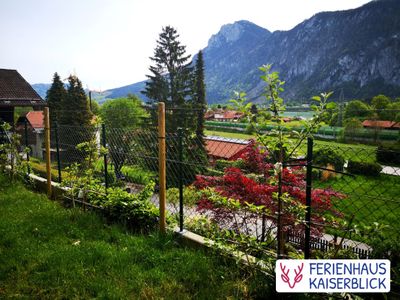 Grundstein für die Selbstversorgung mit Äpfeln und Birnen am neuen Spalier.jpg