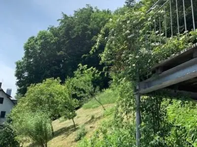 Auch die Bienen kommen bei uns nicht zu kurz