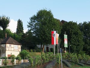 Ferienhaus für 4 Personen ab 95 € in Kippenheim