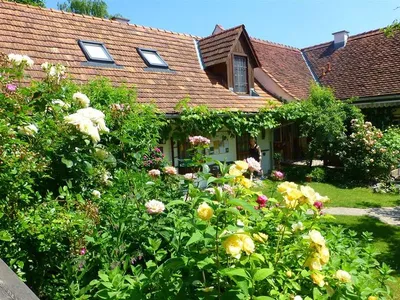 Ferienhaus für 5 Personen (70 m²) in Kirchberg an der Raab 4/10