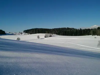 Ferienhaus für 6 Personen (120 m²) in Kirchberg im Wald 3/10