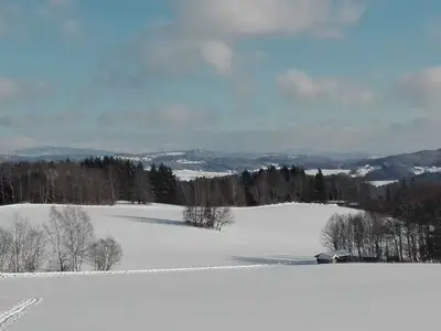 Ferienhaus für 6 Personen (120 m²) in Kirchberg im Wald 5/10