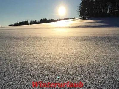 Ferienhaus für 6 Personen (120 m²) in Kirchberg im Wald 7/10