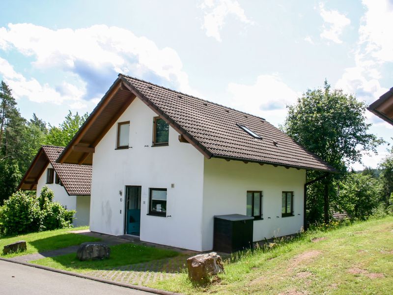 22189545-Ferienhaus-8-Kirchheim (Hessen)-800x600-0