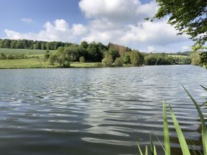 Ferienhaus für 6 Personen (75 m²) in Kirchheim (Hessen)