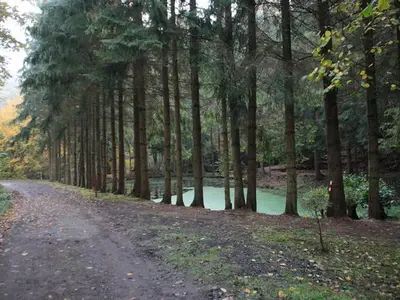 Ferienhaus für 7 Personen (100 m²) in Kirchheim (Hessen) 6/10