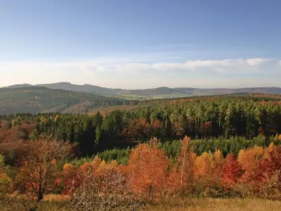 Ferienhaus für 9 Personen (100 m²) in Kirchheim (Hessen) 6/10