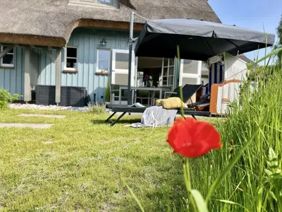 Gartenblick