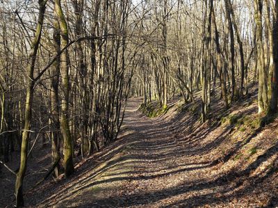 Wanderweg "Kirchspiel's Täler Tour"