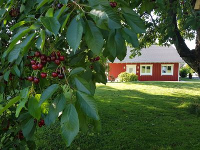 Gartenblick