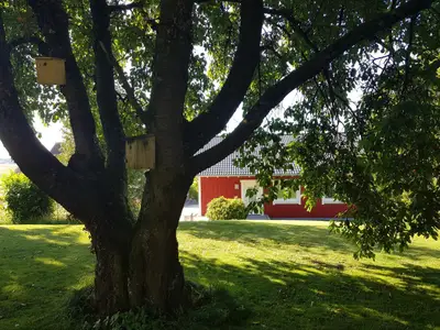 gartenblick