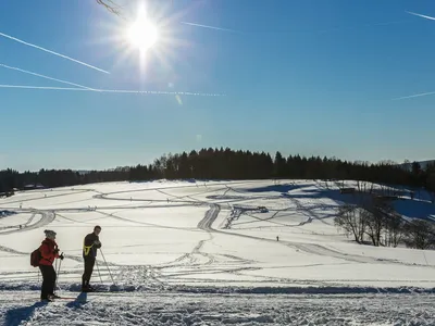 Ferienhaus für 9 Personen (180 m²) in Klingenthal/Sachsen 7/10