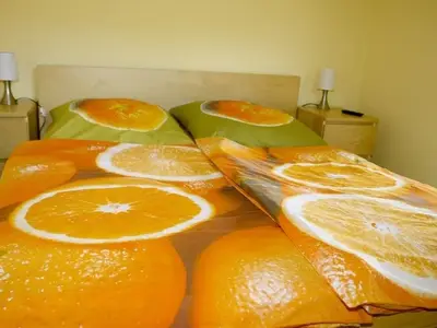 Ferienhaus für 4 Personen (101 m²) in Klingenthal/Sachsen 5/10