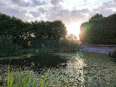 Ferienhaus für 4 Personen (60 m²) in Klink 7/10