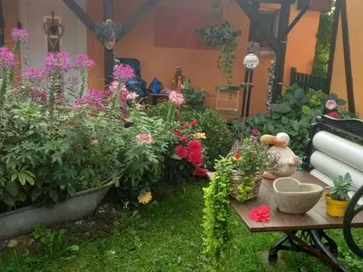 Ferienhaus für 4 Personen (35 m²) in Ribnitz-Damgarten 1/10