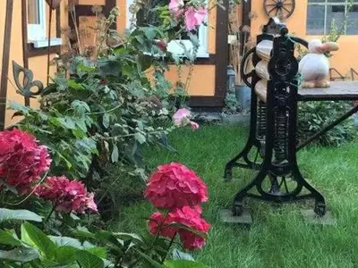 Ferienhaus für 4 Personen (35 m²) in Ribnitz-Damgarten 6/10