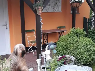 Ferienhaus für 4 Personen (35 m²) in Ribnitz-Damgarten 7/10