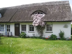 Ferienhaus für 4 Personen (60 m²) in Insel Hiddensee