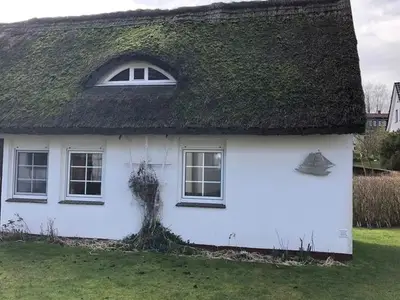 Ferienhaus für 4 Personen (60 m²) in Insel Hiddensee 4/10
