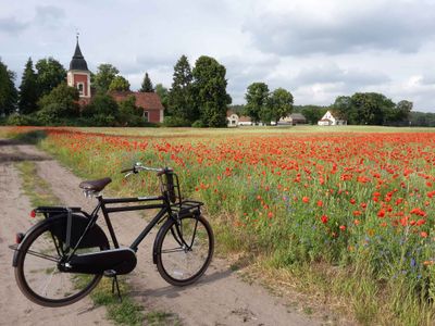 Ferienhaus für 4 Personen (90 m²) in Kloster Lehnin 6/10