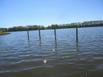 Netzener See