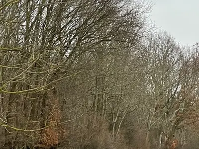 Ferienhaus für 7 Personen (120 m²) in Steinbeck 10/10