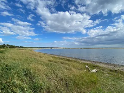 WaterView