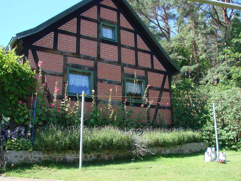 19321216-Ferienhaus-3-Kölpinsee (Usedom)-800x600-2