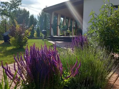 GardenSummer