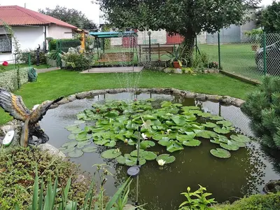 GardenSummer